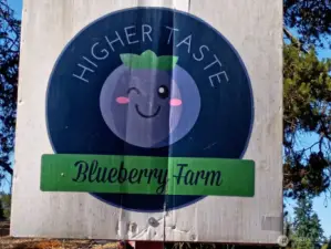 am alway hearing how this is everybody's favorite farm and that the berries taste the best anywhere, hence the name of the farm. We think it's because it's by the spring-fed lake!