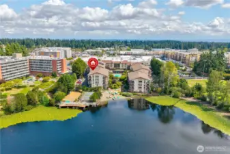 A view from the water showing many of the amenities - sports court, dock, private beach and kayak/paddle board storage, heated pool and lovely gardens