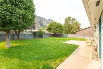 Well-tended yard with seasoned trees and vineyard-inspired vines