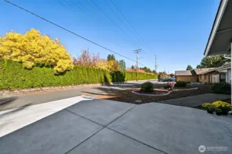 A view of the low maintenance yard shows the extended off street parking strip between the yard and the low traffic lane that serves these homes.  A thick, tall arborvitae barrier rests between the homes and the street..