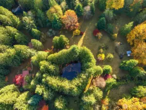 Welcome to the park in Snoqualmie!  Play where you Live. Natural spring-fed pond surrounded by wonderful legacy cedar and a meadow dotted with pear, apple and stunning trees along the perimeter.