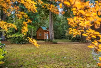 Studio was built during covid for at-home schooling and work!