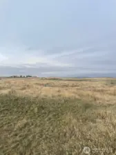 Ground photo looking from the southeast corner to the west.