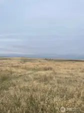 Photo is from the southeast corner looking to the northwest.