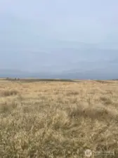 Photo is from the southeast corner, looking north.