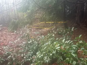 Lid for septic system, applied and waiting for the RSS report.