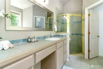 Another angle of the primary bathroom, shower and commode room to the right.