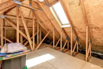 This unfinished storage room is off of one of the extra bedrooms. Easily finished if someone needs additional space with electricity,Skylight, heat and lighting fixture.