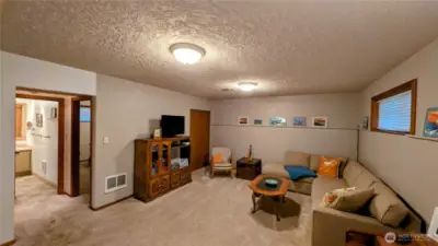 Lower level family room