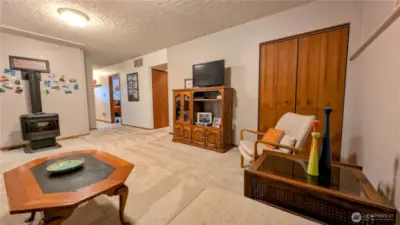 Lower level family room