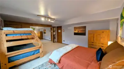 Large lower level bedroom 2