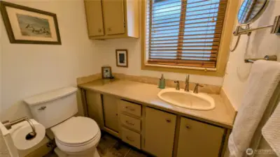 Lower level bathroom