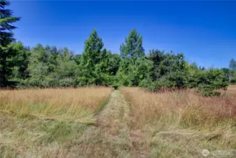 5 incredible acres!