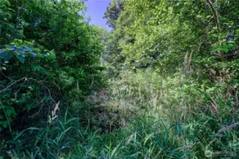 5 incredible acres!
