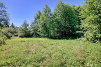 5 incredible acres!