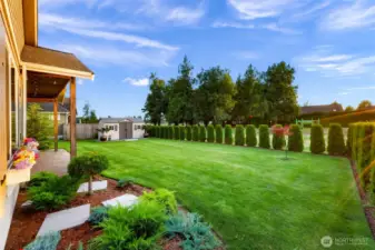 Large backyard with irrigation system