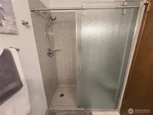 New Walk-In Shower in Guest Bathroom