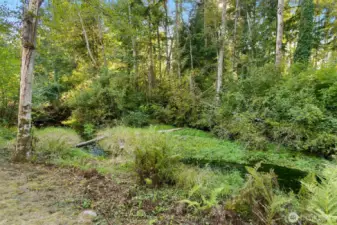 Imagine sipping your coffee while listening to the creek bable