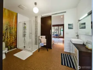 Jack-n-Jill full bath, lower level