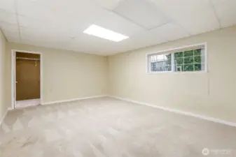 Downstairs Extra Room w storage area