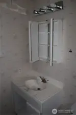 Primary bathroom vanity