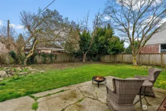 Back yard from patio area