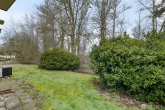 Private backyard with natural landscaping and space to enjoy the outdoors.