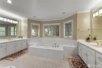 master bathroom , note the jacuzzi
