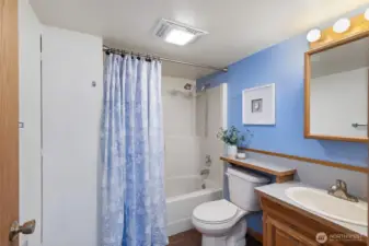 Lower level full bath with linen closet.