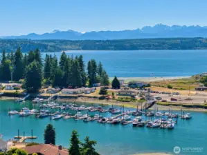 Driftwood Key amenities include a private marina with boat launch, clubhouse, waterfront pavilion, pool, playground, and private beach access.