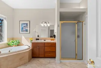 Well Appointed Bath Off Primary w/ Soaking Tub & Separate Shower