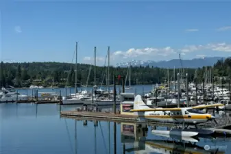 Port Ludlow's 300 Slip Marina