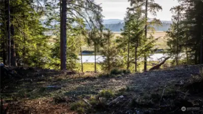 View from Parcels toward Middle Nemah River.