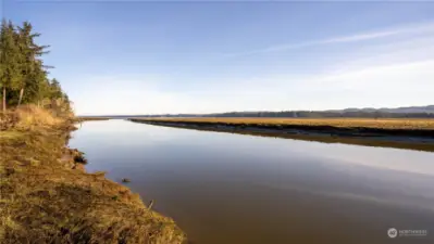 Middle Nemah River view from Lynn Point.