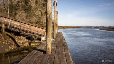 Lynn Point Community Dock and Boat Launch.  Lots of Oysters too.