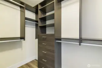 Primary bedroom has a walk in closet with custom closet system