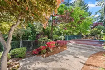mature landscape in the backyard