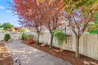 side yard