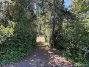 Through this driveway set away from the road is a 1/2 acre of peaceful property.