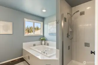 Deep soaking tub & separate shower