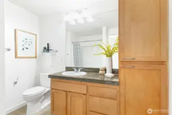 The full bath has tons of cabinet space with a full linen closet as well as the vanity.  The counters are granite.