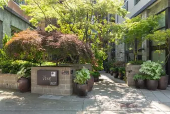 The entrance to the Vine complex features lush landscaping to welcome you home or greet your guests.