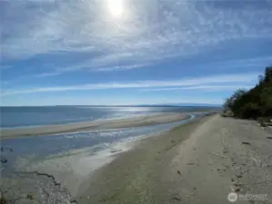 Sandy shores to walk and explore.... Welcome to Whidbey!