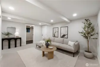 Basement Family Room