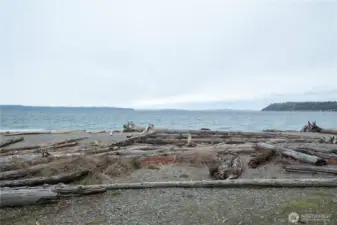 the best beach combing