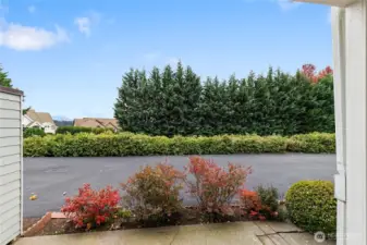 Patio view