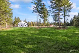 Pristine 4.8 acres!