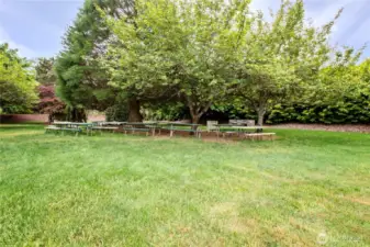 Community Park is next door