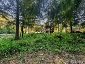 View from center of lot facing south.