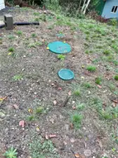 4 bed septic